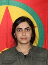 Avzem Cihan Munzur - Ezgi Torun