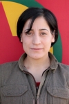 Dicle Ela - Velide Arvas