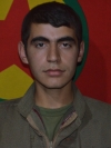 Pale Dersim - Jiyan Taşdemir