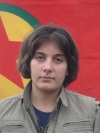 Arjin Ronahi - Elif Özdemir