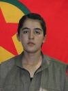 Rûgeş Devran - Göçer Noyan