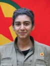 Amara Çiya - Havva Baran