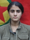 Hevidar Beyani - Beybun Kaplan