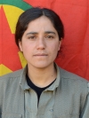 Sema Tekin Acem - Hatice İbrahimpur