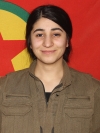 Delal Botan - Ruksen Derwêş