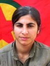 Axin Navdar - Deniz Fidanten