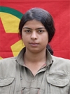 Viyan Mazlum - Gule Cumo