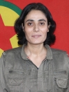 Têkoşîn Dilgeş - Şîrvan Ulaş