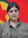 Tekoşîn Jiyan - Asiye Gürgün