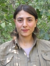 Dorşin Rubar - Bahar Acar