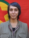 Ruksen Zagros - Newroz Tahir