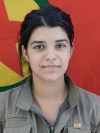 Amargi Zilda - Bahar Uçak