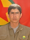 Tolhıldan Roj - Alçi Silivi