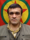 Numan Batman - Hêjar Çelik