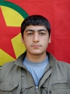Agit Zagros - Hamit Tekin