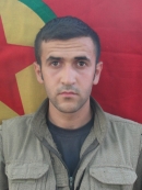 Tolhıldan Viyan - Ahmet Koçak