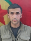 Tolhıldan Viyan - Ahmet Koçak