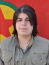 Sarina Agit - Raziye Sunar