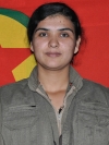 Eylem Sterk - Gülistan Hasan
