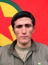 Pılıng Faraşin - Erhan Abo