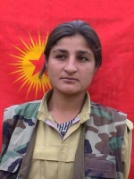 Şervin Şengal - Mizgin Hadi