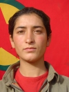 Viyan Çiya - Vahide Çalkendir