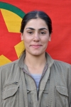 Rohılat Jiyan - Özlem Aydın